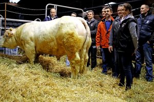 Adhérents réunis lors d'un événement de l'association